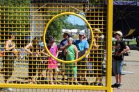 IMG_4924 (Large)